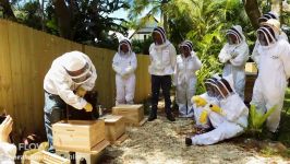 Beginner Beekeeping Ep 1  The difference between a Flow™ Hive and a Langstroth hive