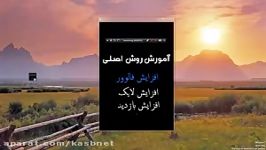 سرور اینستاگرامروش فروش فالوور ولایک