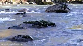 Nature To Future in 50 Sec  Hyporge River