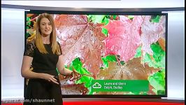 Rebecca Wood  Midlands Today Weather 19May2017