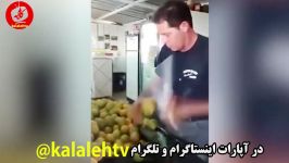 اونایی تو کارشون حرفه ای هستن