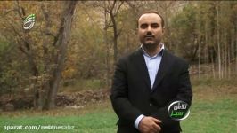 کاشت نگهداری درخت گردو برنامه تلویزیونی تلاش سبز