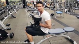 Muscle Building Workouts For Men How To Get Bigger Arms Shoulders And Chest