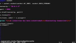 Packet Injection with Scapy