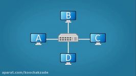 Network Devices Explained  Hub Bridge Router Switch