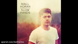 Niall Horan  Slow Hands