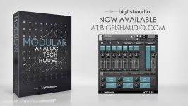 مجموعه سمپل Big Fish Audio Modular Analog Tech House