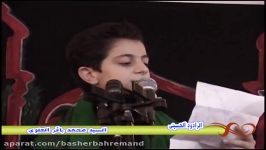 خادم الحسین محمد باقر علوی 1431هجری منزل مرحوم حاج جواد ولی طهران