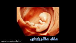 عکسهایی سونوگرافی پیشرفته جنین در دوران بارداری