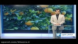 پخش تلویزیونی نتایج استفاده کودهای کلاته خضراء در خراسان رضوی