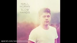 Niall Horan  Slow Hands