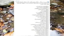 اسامی اشخاص معروفی رئیسی حمایت کرده اند