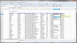 15 Libre Office  Calc Input Help Validate Input
