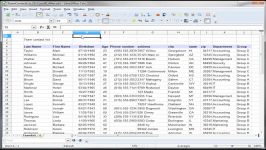 20 Libre Office  Calc CountIf CountBlank