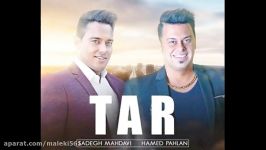 Hamed Pahlan ft Sadegh Mahdavi  Tar حامد پهلان  تار