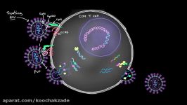 Treating HIV Antiretroviral drugs  Infectious diseases  NCLEX RN  Khan Academy