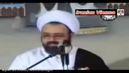 حاج آقا گفت مسلمان به این خری ندیدم