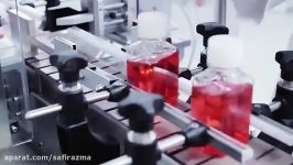 safirazma.com نمایندگی فروش شرکت stemcell ایران an