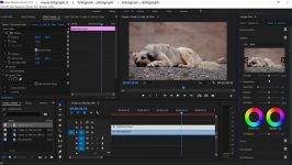 ایجاد افکت روی فیلم در پریمیر Color Grading