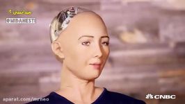 رباتهای انسان نمای آینده انسان ازدواج هم میکنند