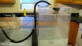 HOW IT WORKS DIY wetdry filter  trickle tower aquarium filtration