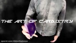 Art Of Cardistry