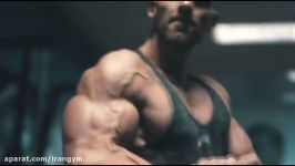 Aesthetic Bodybuilding Motivation  INTENSITY