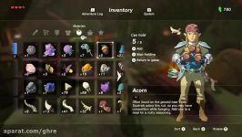 Zelda Breath of the Wild  Cooking Food Without a Pot