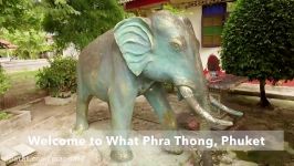 معبد پراتونگ Wat Phra Thong  معبدی افسانه های زیا