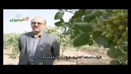 نانوکود اولین بار در ایران جهان بیوزر