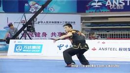 ووشو ، مسابقات داخلی چین فینال نن گوون ،لی فو کووی سیچوون