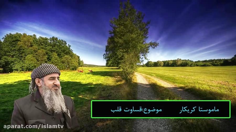 راه حل ام المومنین عایشه برای درمان قساوت قلب   ماموستا کریکار