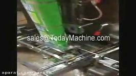 gusset bag + pillow bag packing machine fully automatic