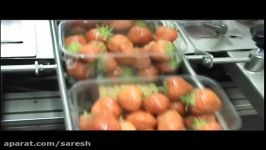 Strawberry Packing Line  Packaging Automation SL6 Tray Sealing Machine