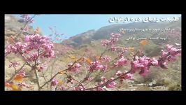 طبیعت زیبای بهاری دره ارغوان شهرستان بردسکن