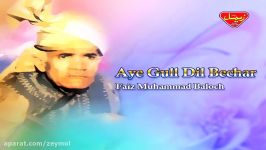 Faiz Muhammad Baloch  Aye Gull Dil Bechar  Balochi Regional Songs