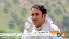 Iran Patagh village Honey production تولید عسل طبیعی روستای پاتاق ایران