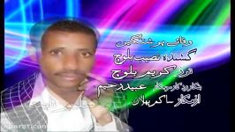 Naseeb Baloch  Wafi Par  Balochi HD Songs