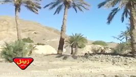 Murad Jan Baloch  Chamma Ni Daya Baatan  Balochi HD Songs