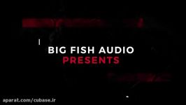 وی اس تی Big Fish Audio Empire Trap Construction Kits