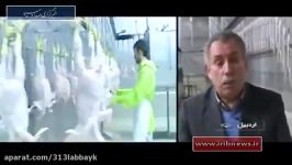 Iran Industrial Chicken Slaughterhouse Ardabil county كشتارگاه مرغ شهرستان اردبیل ایران