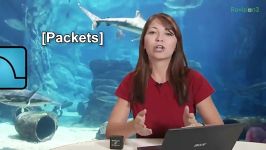 HakTip  How to Capture Packets with Wireshark  Getting Started