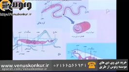 تدریس زیست شناسی کنکور دکتر آرامفر  گوارش قسمت 2