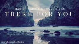 Martin Garrix and Troye Sivan  There For You