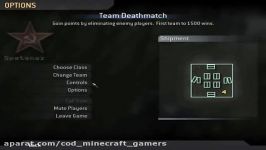 Enable and use cheat codes in Call of duty 4 Multiplayer