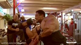 Roelly Winklaar  The Best Arms In Bodybuilding History