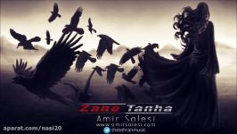 Amir Salesi  Zane Tanha  امیر ثالثی  زنِ تنها
