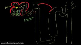 Renal Physiology Concentration of Urine