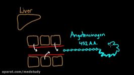 Activating angiotensin 2  Renal system physiology  NCLEX RN  Khan Academy