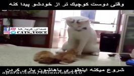 وقتى دوست كوچیكتر خودشو پیدا كنه